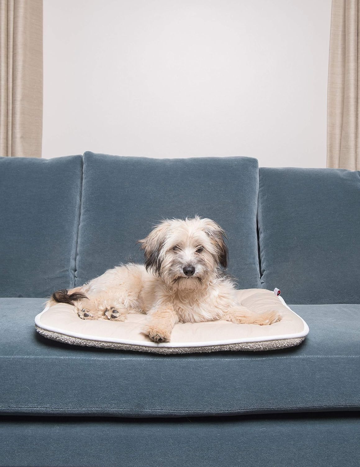 Dog Gone Smart Sleeper Cushion, Large, Berry